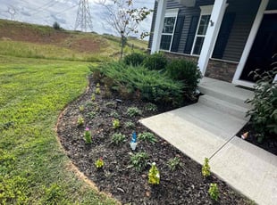 Weeding by Christian Cisneros for Alexandria M. in Fredericksburg, VA