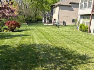 Ron G.'s Lawn Mowing service result