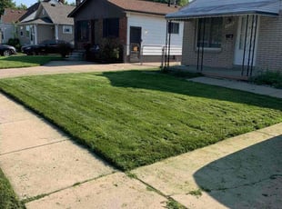 Ortagus F.'s Lawn Care service result