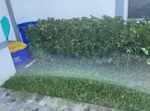 Bush Trimming by Charles Walton for Krystal C. in West Palm Beach, FL