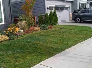 Josh G.'s Yard Cutting service result