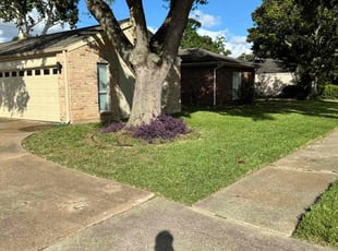 Lambros I.'s Lawn Mowing service result