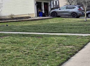 Leaf Removal by Jamil Hafeeza for Domenic R. in Lumberton, NJ