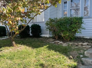Bush Trimming by Ted Ostavitz for Michaela S. in Cincinnati, OH