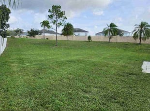 Annette F.'s Lawn Maintenance service result