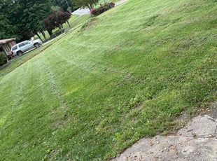 Sandra H.'s Lawn Care service result