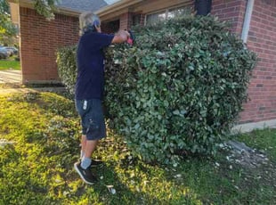 Bush Trimming by Edgar Trevino for Brent T. in Houston, TX