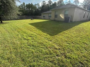 Nathaniel L.'s Lawn Mowing service result