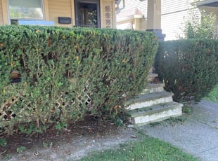 Bush Trimming by Scott Basinger for Jennifer C. in Cleveland, OH