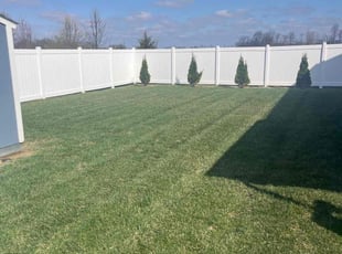 Felix A.'s Lawn Maintenance service result