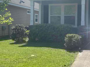 Bush Trimming by Ronald Wade for Priscilla T. in Tallahassee, FL