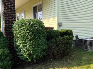 Bush Trimming by Terry Wilson for Sasha P. in Conway, PA