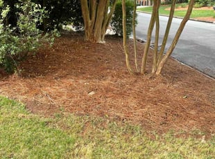 Cleanups by Zack Horne for Matt B. in Greenville, SC