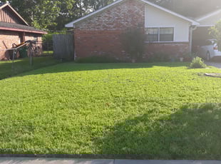 Cleanups by Michael Anthony for Rodolfo H. in Baytown, TX