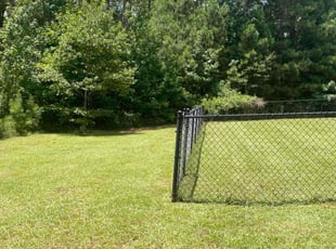 Michele W.'s Yard Cutting service result
