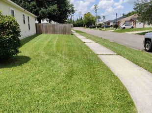 Shirley L.'s Grass Cutting service result