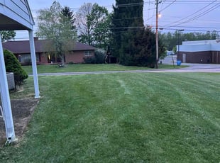 Michael B.'s Lawn Care service result