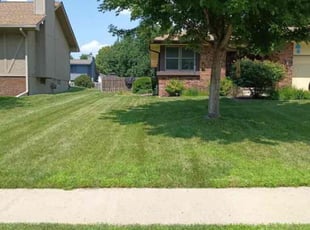 Linda M.'s Yard Cutting service result