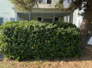 Bush Trimming by Dan Perme for William D. in Virginia Beach, VA