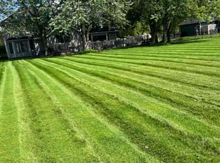 Chris V.'s Lawn Mowing Service service result