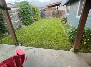 Ashley W.'s Yard Cutting service result