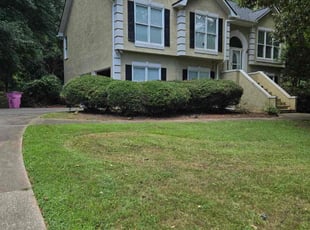 Lakeisha L.'s Bush Trimming service result