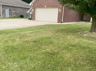 Derek A.'s Lawn Maintenance service result