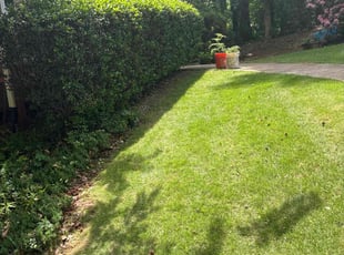 Bush Trimming by Stephen Bickerstaff for Gregory B. in Newnan, GA