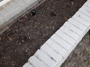 Marcus C.'s Flower Bed Weeding service result