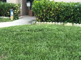 Bush Trimming by Kuisman Mazariegos for Kellee T. in Port St. Lucie, FL