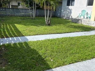 Krystal C.'s Lawn Mowing service result
