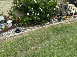 Weeding by Allen Roberto $ for Tim W. in Gretna, LA
