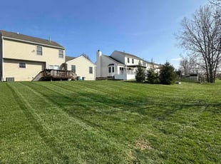 Dave T.'s Lawn Care service result