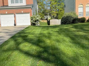 Frances A.'s Lawn Mowing service result