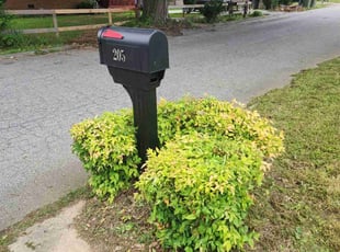 Bush Trimming by James Petrone for Dora M. in Fountain Inn, SC