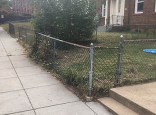 Bush Trimming by Jamar Bennett for Luisa M. in Washington, DC