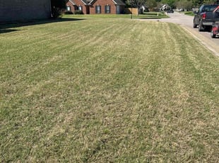 Clifton N.'s Lawn Service service result