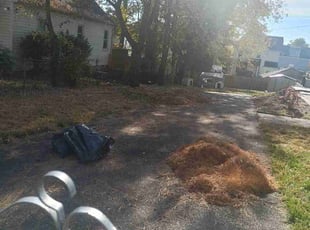 Leaf Removal by Curtis Holloway for Marquita H. in Baltimore, MD