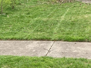 Cleanups by Robert Tillman for Margo M. in Columbus, OH