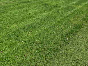 Keith a.'s Lawn Care service result