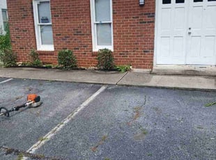 Karen J.'s Bush Trimming service result