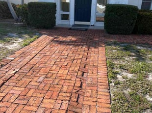 Bush Trimming by Broderick Belvin for Bella S. in Sarasota, FL
