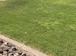 Cleanups by Aaron Flores for Abel A. in Peoria, AZ