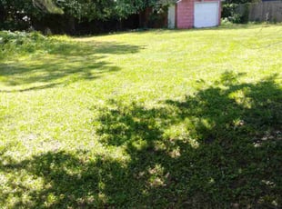 Bush Trimming by Tyreek Leacock for Ambril H. in Portsmouth, VA