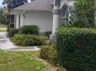 Bush Trimming by ALBERTO TORRES DROZ for Michelle L. in Palm Coast, FL