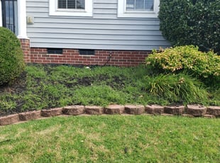 Weeding by Jamison Newsom for Tiffany P. in Concord, NC