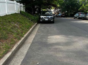 Leaf Removal by Angel P. for Jackson C. in Arlington, VA