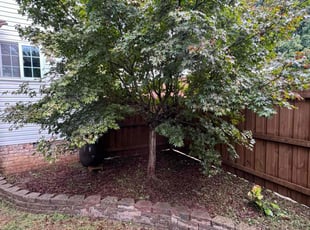 Weeding by Austin Honnick for Kristina J. in Franklin, TN