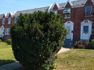 Bush Trimming by William Perdigon for Gerry J. in Philadelphia, PA