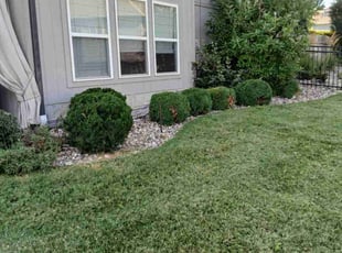 Weeding by Julio Almestica for Bella B. in Lee's Summit, MO
